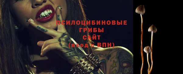 ГАЛЛЮЦИНОГЕННЫЕ ГРИБЫ Абдулино