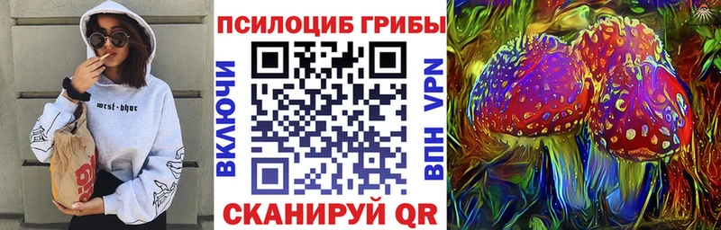 Галлюциногенные грибы Cubensis  KRAKEN как войти  Исилькуль 